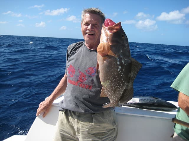 Fishing can be a great bonding experience for the family, as well as enormous fun. Destin has fish in abundance and there are plenty of opportunities for chartering a boat and heading out to enjoy a catch of your own sea food.