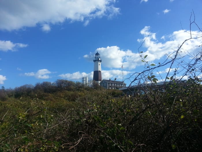 The harsh environment around the Montauk Point Light is unsuited for vegetation other than scrubby trees and vines.
