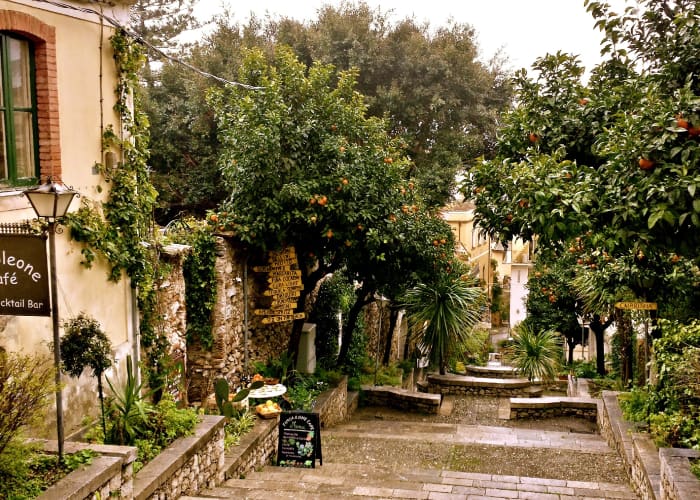 Citrus Trees fill the town with color and tantalizing scents, while showing off their ability to grow just about anything