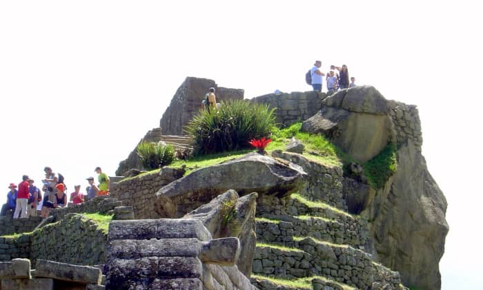 Travelers explore the ruins of Machu Picchu, adorned with brilliant green grass and vivid native flowers.