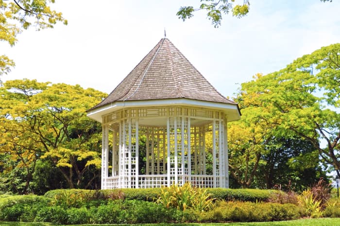 Singapore Botanic Gardens. A must-visit free UNESCO site perfect for visitors looking to save money during their Singapore trip.