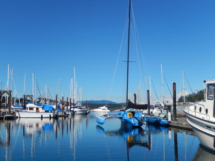 Many fascinating boats will likely be docked in the Friday Harbor Marina, including large yachts, cabin cruisers, and perhaps even a brilliant blue catamaran.