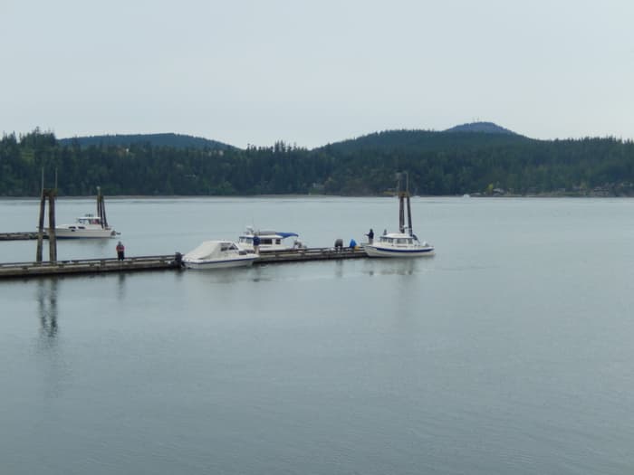 Small boats at floating docks in Cornet Bay, Whidbey Island, Wa. Boats and owners can stay overnight here or just stop to secure gear before crossing to Friday Harbor.