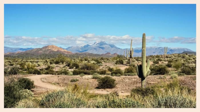 Arizona's Delightfully Diverse Deserts - WanderWisdom