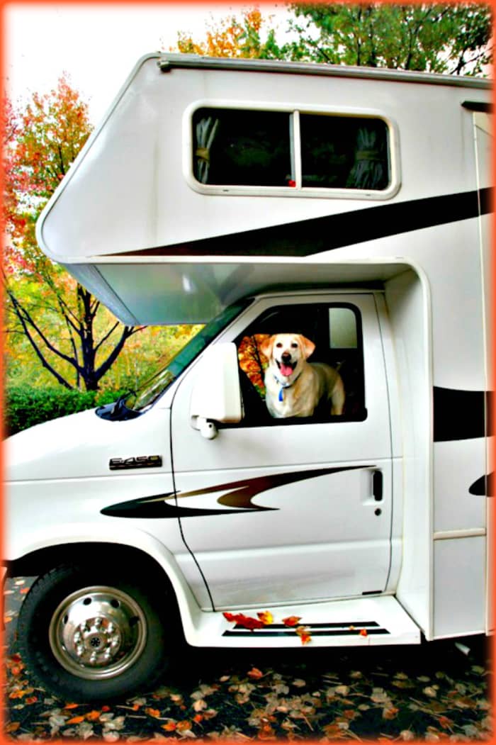 It's important to find out whether a campground allows pets, if they charge extra for this and if pets can only stay in certain areas.