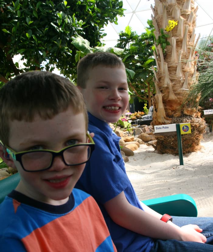 A sedate boat ride through Disney's greenhouses is a great way to cool off during the busy part of the day. This ride rarely generates long lines and is appropriate for all ages.