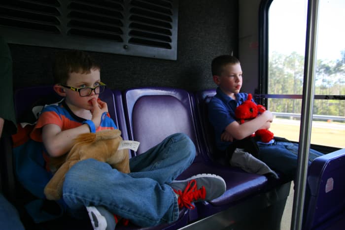 Disney World offers a variety of methods to get around the parks and a rental car is not required.