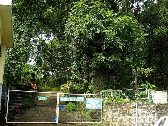 Botanical Garden, Yercaud