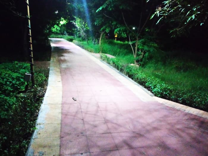 Kotturpuram Tree Park at night