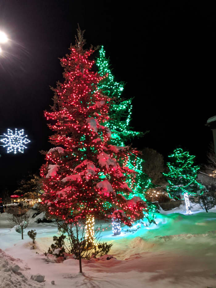 Christmas Trees Along Main Road in Tusayan, AZ
