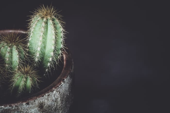 Don't be fooled by your Scorpio man's seemingly prickly demeanor; he's probably just deep in thought.