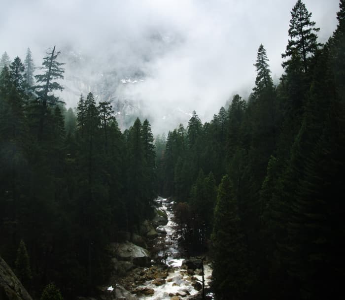 What does it mean if you dream about a river? Often, the river represents the flow or direction of the dreamer's life.