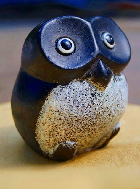 This little owl sculpture decorates my living room. I found it at a garage sale.