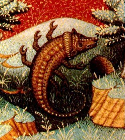 Here is an unusual image representing the Scorpio sun sign. I think it looks more like a lizard, another Scorpio symbol.