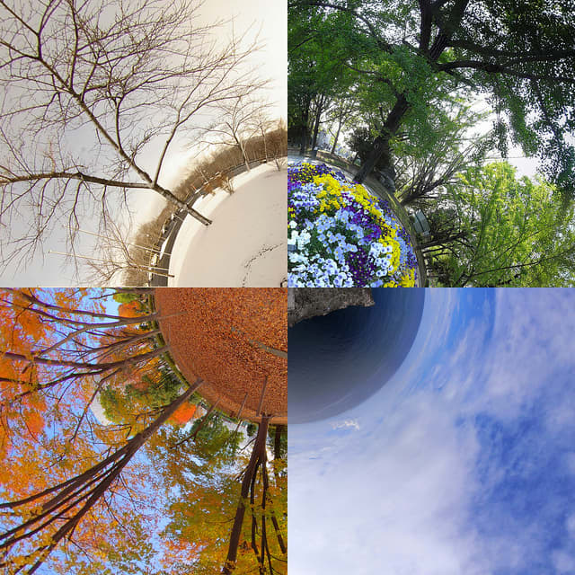 The four seasons of winter, spring, summer, and autumn align with the eight pagan holidays of the Wheel of the Year.