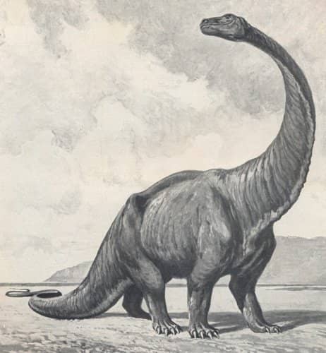 Could some dinosaurs still be alive today, awaiting rediscovery in the dark forests of the world?
