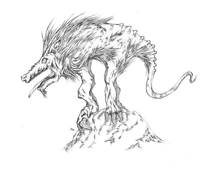 Chupacabra sightings in America differ from any previous description.  