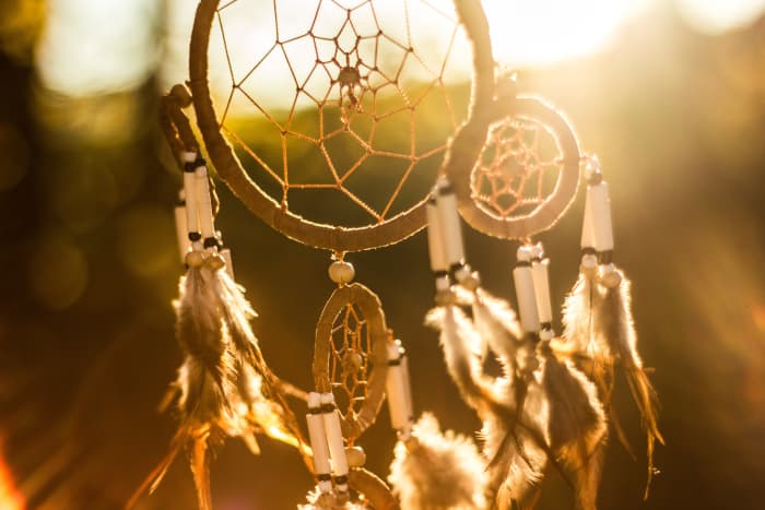 A spiderweb is the ultimate dreamcatcher, which originated from the Ojibwa Chippewa tribe. The Ojibwe word for dreamcatcher, asabikeshiinh, means spider.