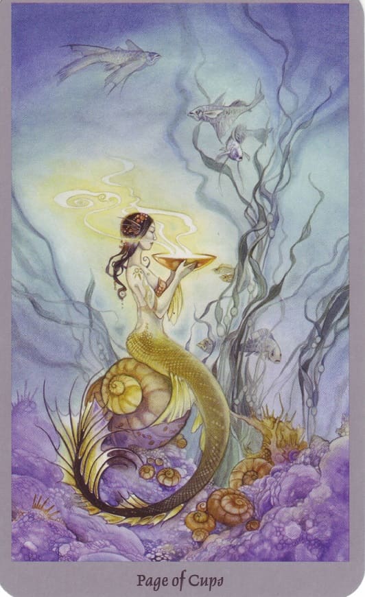 Court Cards – Page of Cups - Exemplore