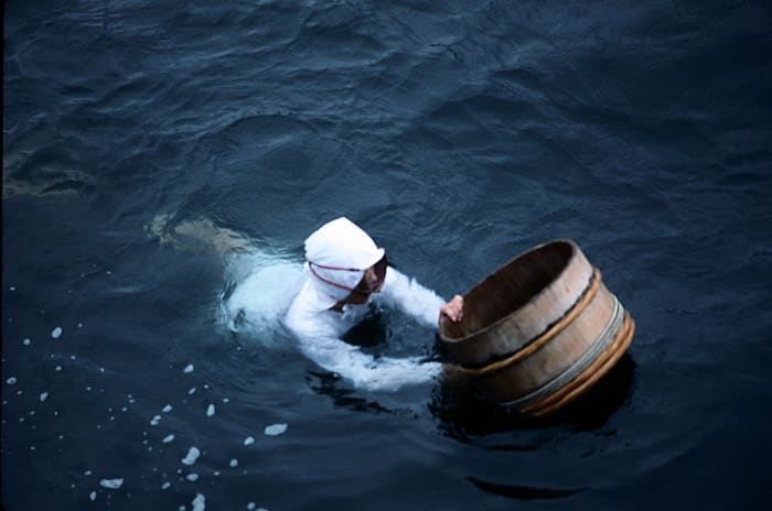 Ama pearl divers operate off the coast of Japan. As with the Korean Haenyo divers, they started wearing clothes at the insistence of critical tourists.