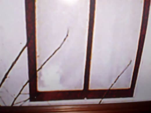 Spirit of Boyd or Paul Moore (bottom left window corner). Image shared on barn tackboard at Villisca Axe Murder House. Rephotographed.