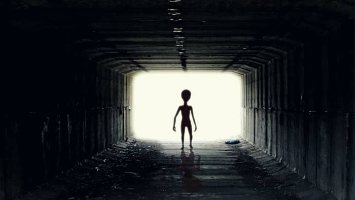 A recent string of declassified documents, leaked memos, and an eye-witness testimony has confirmed what we have all known: that aliens exist and they have visited this planet.