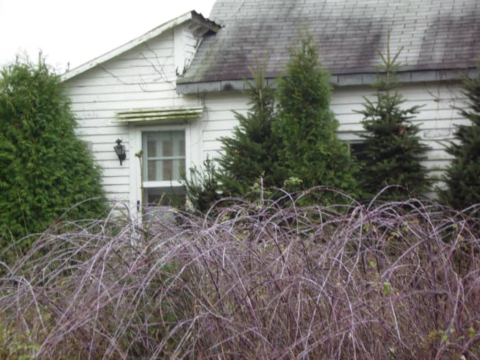 Another view of the Hooker brothers' former home. The house has fallen into disrepair over the 30 years since the tragic murder.