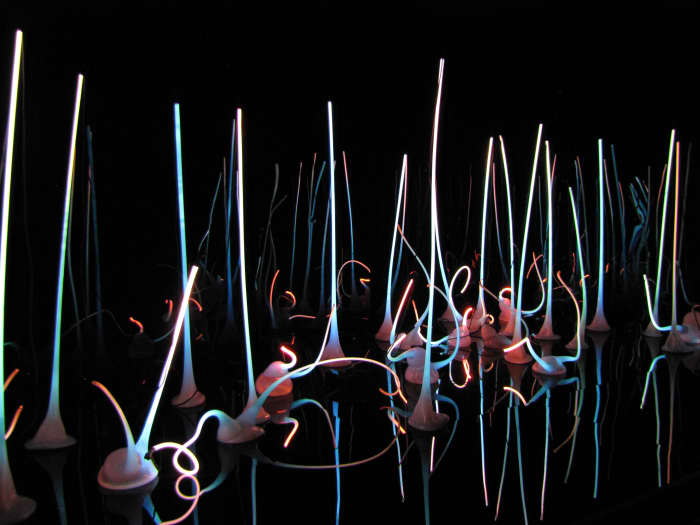 Visiting the Chihuly Garden and Glass Museum at the Seattle Center ...