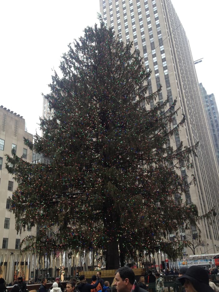 The 100 feet tall Rockefeller Christmas tree is one of the best Christmas things to do in New York City each year.