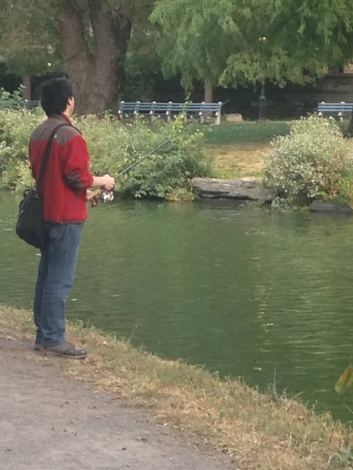 Fishing is one of those free things to do in Central Park that attracts many fishing enthusiasts like this man casting his rod on Harlem Meer.