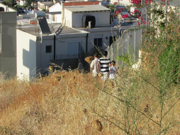 The walk down from our villa in Crete - this was just the bottom, it was much steeper than it looks! (And definitely not ideal terrain.)