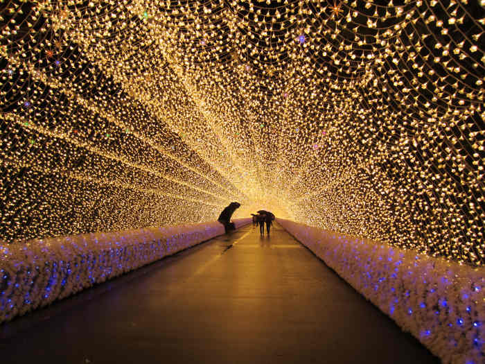 11 Things You May Find Different About Christmas in Japan WanderWisdom