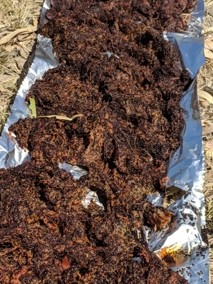 Material filtered out of mixture as Saguaro fruit is boiled to reduce it to a syrup In times past this would be used to make bread and other foods.