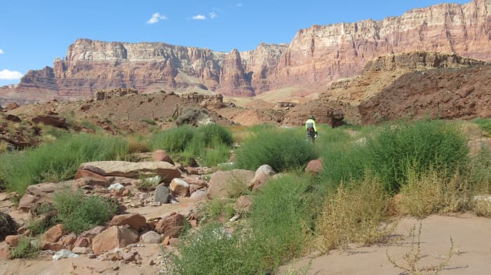 My wife hiking & exploring cliffs in Cathedral Wash area north of Navajo Bridge in Marble Canyon AZ