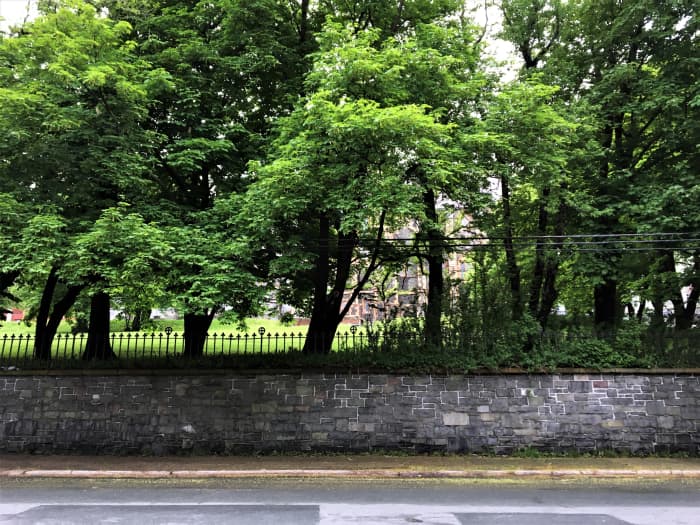 The Area in Front of the Anglican Cathedral, Where the Workmen had Posed for the Picture, as it Looks Today.