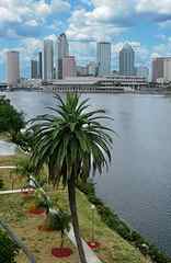 Downtown Tampa Skyline  www.flickr.com
