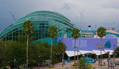 The Florida Aquarium www.flickr.com