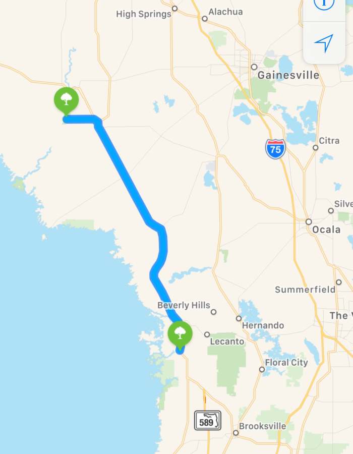 Homosassa Springs: Florida Manatee and Wildlife Adventure - WanderWisdom