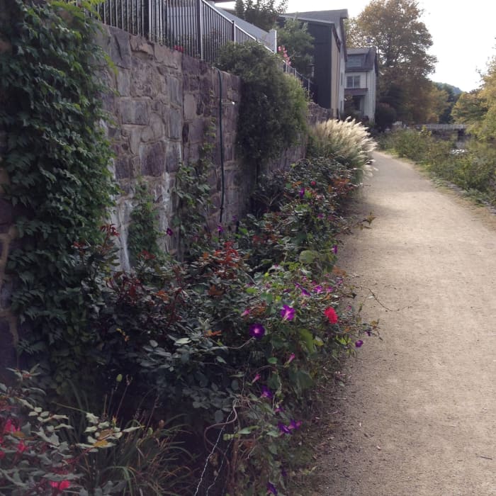 The old canal towpath runs through town and is now a State Park. It's perfect for walking or biking .