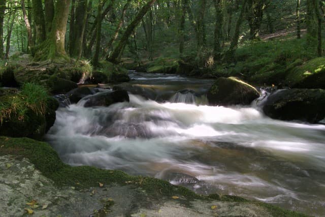 Not a beach in sight! Peace and tranquillity reign at Golitha Falls near Bodmin Moor.