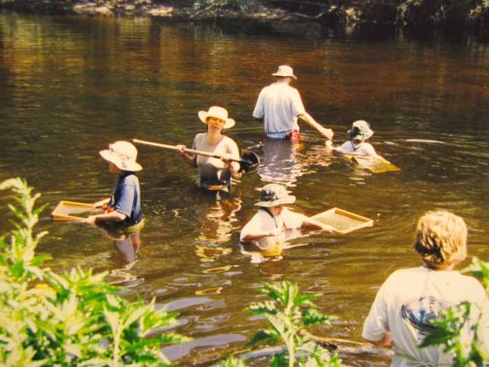 Fossil Hunting on the Peace River in Florida WanderWisdom