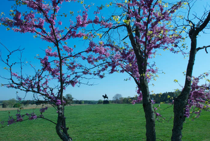 Early Spring at the Visitor's Center is a great opportunity to capture some of the blossoms on the trees with the backdrop of the memorials in the distance.
