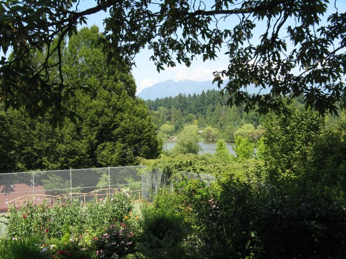The tennis courts at the end of Robson Street; part of Lost Lagoon and the North Shore Mountains can be seen in the background