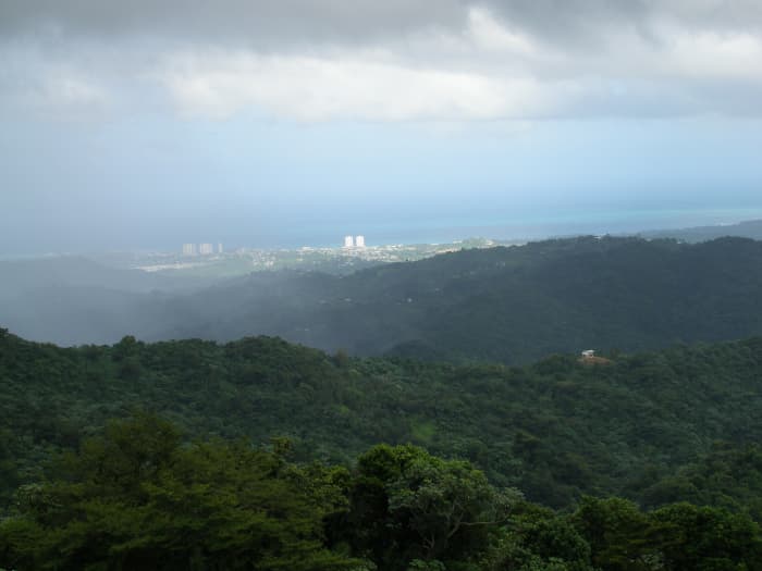 View from the top in El Yunque. You can see clear to the ocean and the beachfront resorts!