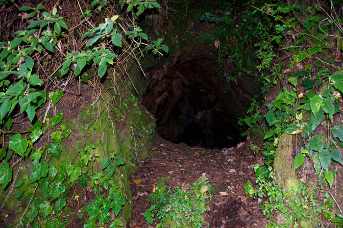 "Coyote Hole" prospector's digging. The eternal search for mineral wealth on La Tigra.