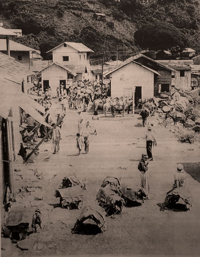Boom days of El Rosario. Pack trains loading and unloading freight.