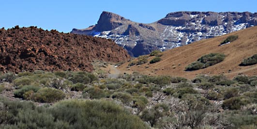 The scenery close to the lower cable car station. Topo de la Grieta is the peak in the background. Note the lava flow on the left - reddish due to oxidation processes