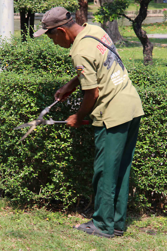 A member of the garden staff at Chatuchak Park. Bangkok public parks are tended to with meticulous care to keep them pristine. This man devoted a lot of time to ensuring this hedge was neat and tidy