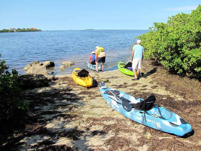 Kayaking the WernerBoyce Salt Springs State Park, Brasher Park