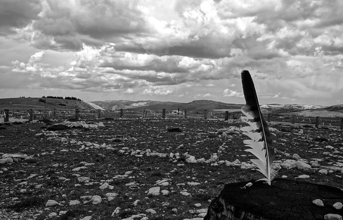 My favorite photo of the medicine wheel. It's hauntingly beautiful with a feather in the foreground.